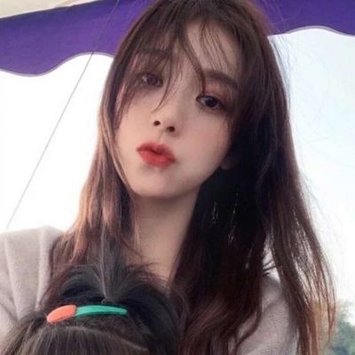 文豪野犬迷失的故事下载