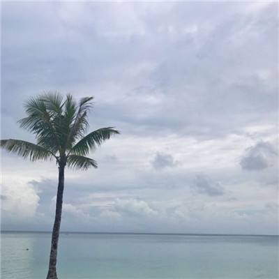 遮天传说官方版下载